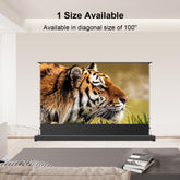 Projector screen displaying a tiger image in a living room setting.