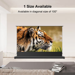 Projector screen displaying a tiger image in a living room setting.