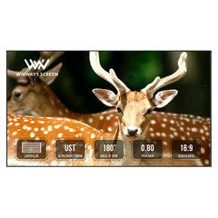 Winways UST Throw ALR Fixed Frame Lenticular Screen - Formovies