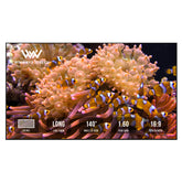 Winways Medium Throw ALR Fixed Frame Fresnel Screen - Formovies