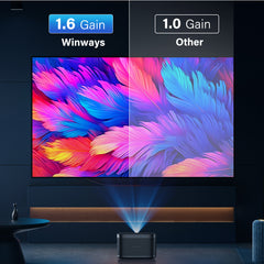Winways Medium Throw ALR 100'' Solid Panel Fresnel Screen - Formovies