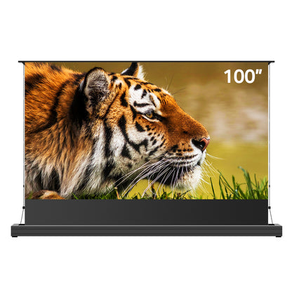 Winways UST Throw ALR 120'' Electric Lenticular Floor Rising Screen