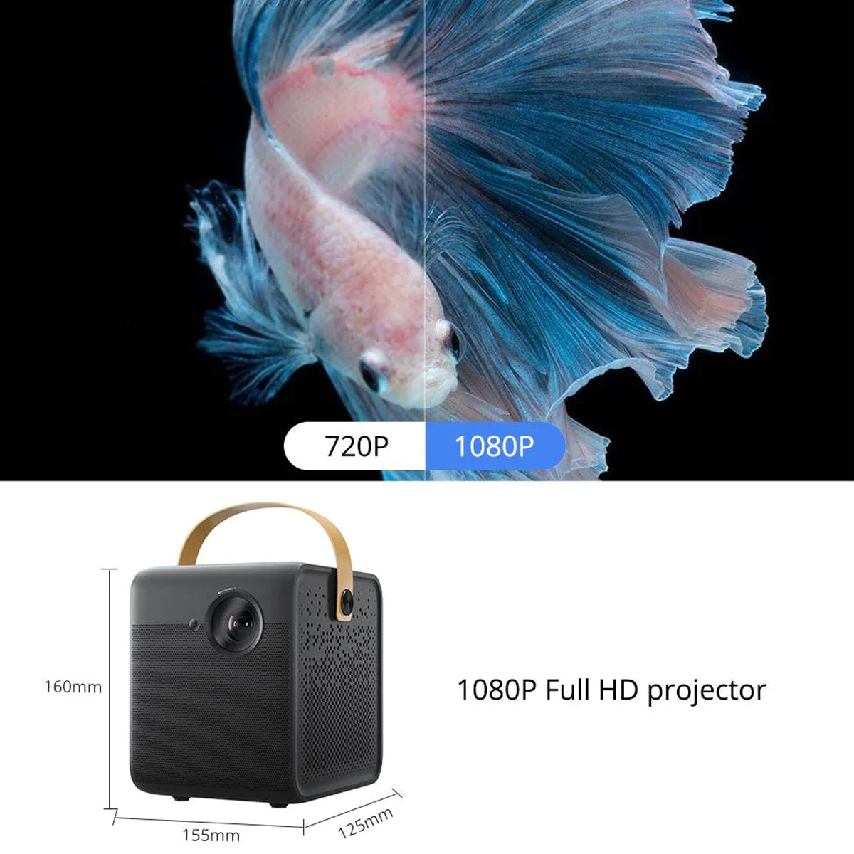 Formovie Mini Projector Dice + Rollable Fresnel Screen - Formovies
