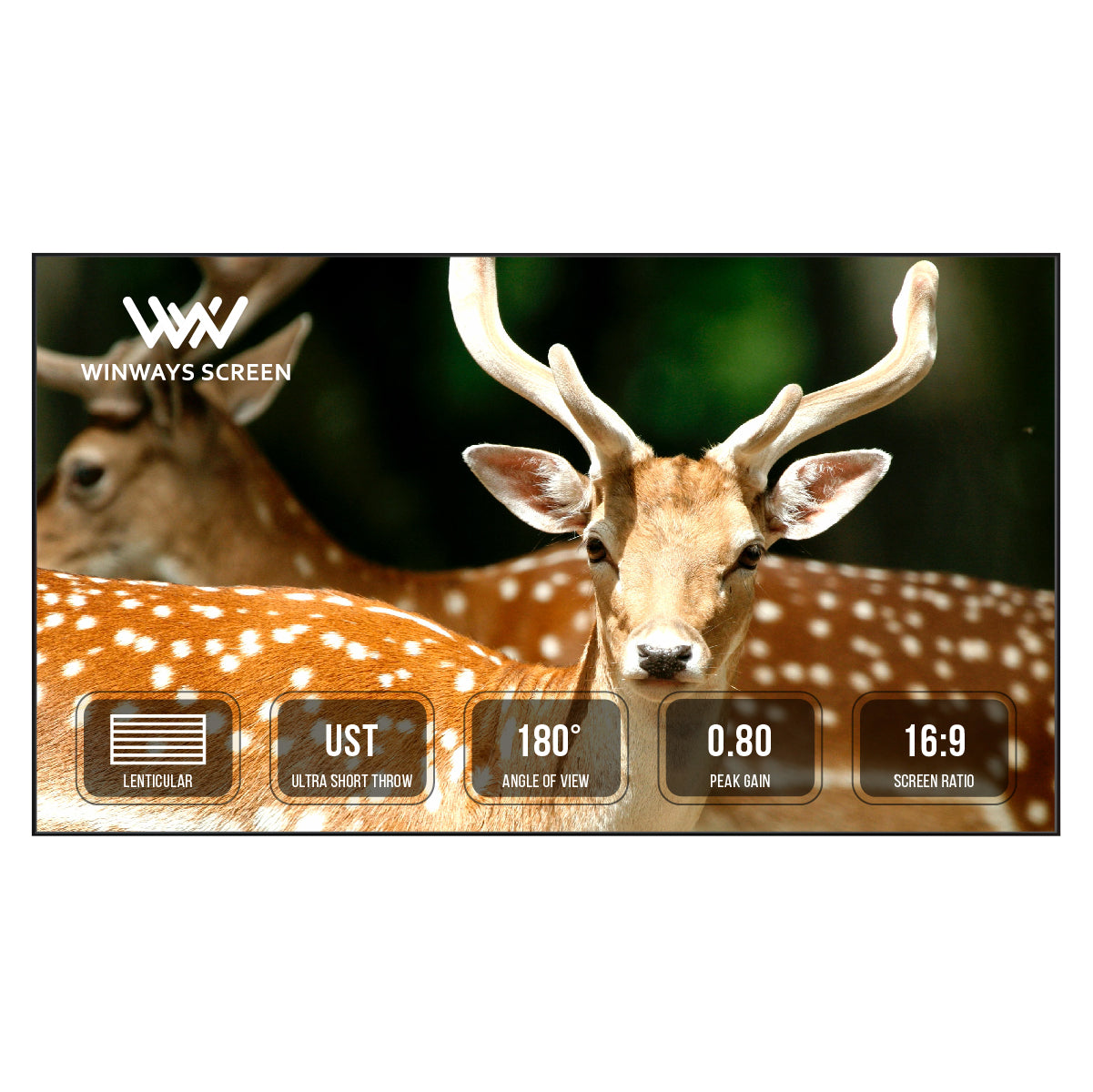 Winways UST Throw ALR Fixed Frame Lenticular Screen - Formovies